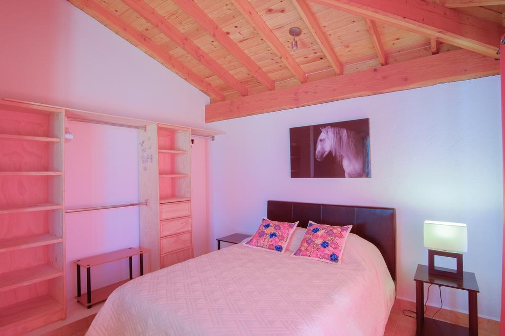 Affittacamere Little Nest En Rancho El Rossinyol Valle de Guadalupe Esterno foto